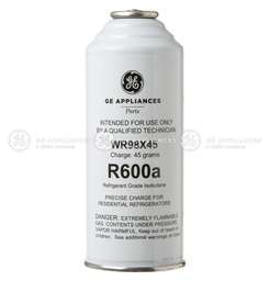 [RPW1062778] GE R600a Charge Can 45 Grams WR98X45